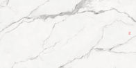 کاشی های دال لعاب دار سفید 900x1800 میلی متری دیوار و کف
